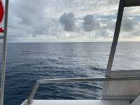 Great day of scuba diving in Key Largo with Rainbow Reef on spiegel grove tropical serenity 2021 01 12 r10552 1