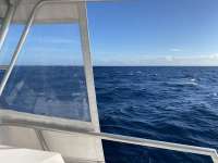 Great day of scuba diving in Key Largo with Rainbow Reef on spiegel grove tropical serenity 2021 01 29 r10636 1