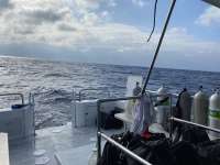 Great day of scuba diving in Key Largo with Rainbow Reef on uscgc duane tropical explorer 2021 01 28 r10635 1