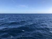 Great day of scuba diving in Key Largo with Rainbow Reef on uscgc duane tropical serenity 2021 01 09 r10532 1