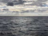 Great day of scuba diving in Key Largo with Rainbow Reef on uscgc duane tropical serenity 2021 01 11 r10548 1