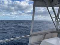 Great day of scuba diving in Key Largo with Rainbow Reef on uscgc duane tropical serenity 2021 01 30 r10638 1