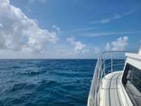Great day of scuba diving in Key Largo with Rainbow Reef on benwood wreck tropical odyssey 2021 07 20 r11408 1