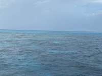 Great day of scuba diving in Key Largo with Rainbow Reef on christ statue tropical serenity 2021 07 14 r11365 1