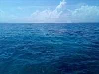 Great day of scuba diving in Key Largo with Rainbow Reef on conch pillars tropical legend 2021 07 23 r11431 1