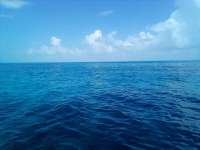 Great day of scuba diving in Key Largo with Rainbow Reef on conch pillars tropical legend 2021 07 23 r11431 2