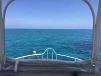 Great day of scuba diving in Key Largo with Rainbow Reef on double north tropical serenity 2021 07 04 r11339 1