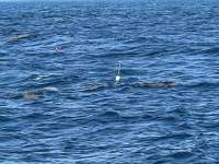 Great day of scuba diving in Key Largo with Rainbow Reef on drift french tropical adventure 2021 07 18 r11395 1
