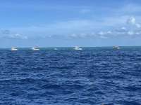 Great day of scuba diving in Key Largo with Rainbow Reef on drift molasses tropical legend 2021 07 21 r11415 4