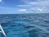 Great day of scuba diving in Key Largo with Rainbow Reef on eagle ray alley tropical adventure 2021 07 24 r11437 1