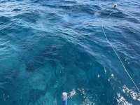 Great day of scuba diving in Key Largo with Rainbow Reef on eagle ray alley tropical adventure 2021 07 24 r11437 2