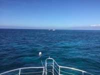 Great day of scuba diving in Key Largo with Rainbow Reef on eagle ray alley tropical legend 2021 07 03 r11332 1