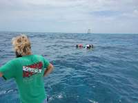 Great day of scuba diving in Key Largo with Rainbow Reef on eagle ray alley tropical legend 2021 07 12 r11353 1
