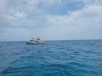 Great day of scuba diving in Key Largo with Rainbow Reef on eagle ray alley tropical legend 2021 07 12 r11353 3