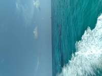 Great day of scuba diving in Key Largo with Rainbow Reef on eagle ray alley tropical legend 2021 07 30 r11471 2