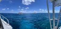 Great day of scuba diving in Key Largo with Rainbow Reef on eagle ray alley tropical serenity 2021 07 17 r11391 2