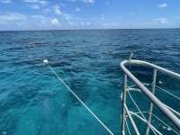 Great day of scuba diving in Key Largo with Rainbow Reef on elbow reef tropical legend 2021 07 26 r11457 1