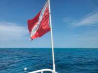 Great day of scuba diving in Key Largo with Rainbow Reef on french reef tropical adventure 2021 07 14 r11364 1