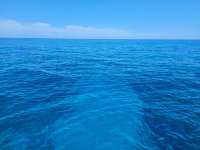 Great day of scuba diving in Key Largo with Rainbow Reef on french reef tropical adventure 2021 07 28 r11461 1