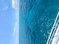 Great day of scuba diving in Key Largo with Rainbow Reef on french reef tropical legend 2021 07 27 r11458 2