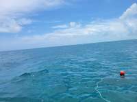 Great day of scuba diving in Key Largo with Rainbow Reef on french reef tropical odyssey 2021 07 11 r11347 1