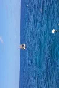 Great day of scuba diving in Key Largo with Rainbow Reef on french reef tropical odyssey 2021 07 16 r11384 1