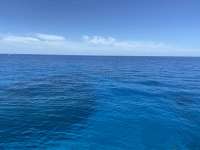 Great day of scuba diving in Key Largo with Rainbow Reef on french reef tropical serenity 2021 07 28 r11463 1