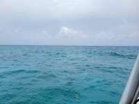 Great day of scuba diving in Key Largo with Rainbow Reef on french twist tropical odyssey 2021 07 10 r11344 2