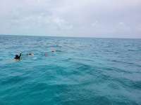 Great day of scuba diving in Key Largo with Rainbow Reef on french twist tropical odyssey 2021 07 10 r11344 3