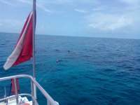 Great day of scuba diving in Key Largo with Rainbow Reef on french twist tropical odyssey 2021 07 30 r11469 1