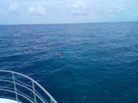 Great day of scuba diving in Key Largo with Rainbow Reef on french twist tropical odyssey 2021 07 30 r11469 2