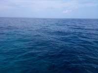 Great day of scuba diving in Key Largo with Rainbow Reef on french twist tropical odyssey 2021 07 30 r11469 3