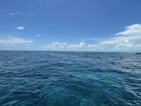 Great day of scuba diving in Key Largo with Rainbow Reef on hole in the wall tropical legend 2021 07 29 r11466 3