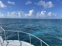 Great day of scuba diving in Key Largo with Rainbow Reef on hole in the wall tropical serenity 2021 07 17 r11385 2