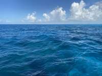 Great day of scuba diving in Key Largo with Rainbow Reef on molasses reef tropical legend 2021 07 19 r11399 1