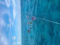 Great day of scuba diving in Key Largo with Rainbow Reef on molasses reef tropical odyssey 2021 07 17 r11392 1