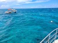 Great day of scuba diving in Key Largo with Rainbow Reef on molasses reef tropical odyssey 2021 07 17 r11392 2