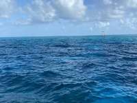 Great day of scuba diving in Key Largo with Rainbow Reef on molasses reef tropical serenity 2021 07 21 r11414 1