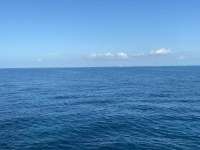 Great day of scuba diving in Key Largo with Rainbow Reef on molasses reef tropical serenity 2021 07 28 r11459 1