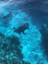 Great day of scuba diving in Key Largo with Rainbow Reef on north star tropical explorer 2021 07 03 r11334 1
