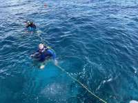 Great day of scuba diving in Key Largo with Rainbow Reef on permit ledges tropical legend 2021 07 26 r11454 3