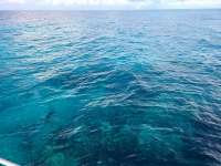 Great day of scuba diving in Key Largo with Rainbow Reef on sand island tropical odyssey 2021 07 26 r11453 1