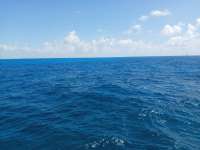 Great day of scuba diving in Key Largo with Rainbow Reef on snapper ledge tropical adventure 2021 07 16 r11380 2