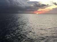 Great day of scuba diving in Key Largo with Rainbow Reef on snapper ledge tropical legend 2021 07 24 r11443 1