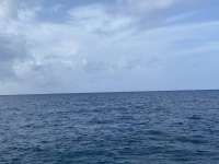 Great day of scuba diving in Key Largo with Rainbow Reef on spanish anchor tropical serenity 2021 07 14 r11357 1