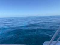 Great day of scuba diving in Key Largo with Rainbow Reef on spanish anchor tropical serenity 2021 07 22 r11421 1