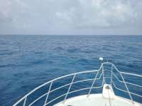 Great day of scuba diving in Key Largo with Rainbow Reef on spiegel grove tropical adventure 2021 07 12 r11354 1