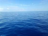 Great day of scuba diving in Key Largo with Rainbow Reef on spiegel grove tropical adventure 2021 07 25 r11444 2