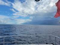 Great day of scuba diving in Key Largo with Rainbow Reef on spiegel grove tropical destiny 2021 07 02 r11329 1
