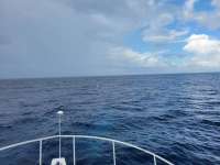 Great day of scuba diving in Key Largo with Rainbow Reef on spiegel grove tropical destiny 2021 07 02 r11329 2